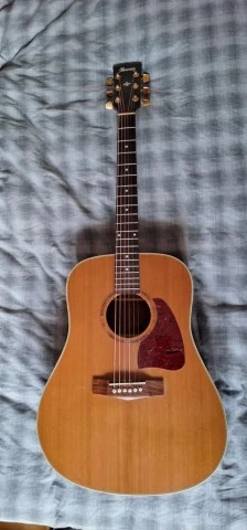 Ibanez Ακουστική