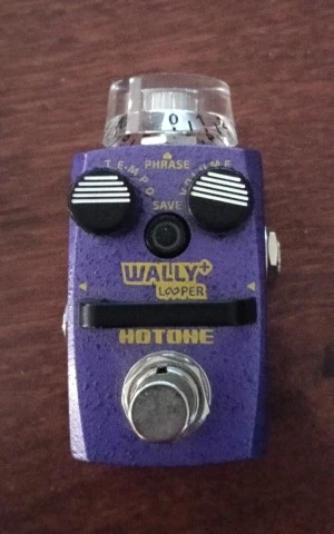 Hotone Wally plus looper