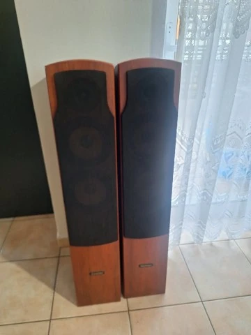 Ζεύγος Ηχείων Δαπέδου Roister Status 7
