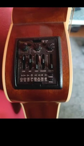 Takamine P4DC