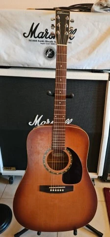 Norman Protégé  D-18 Cedar Tobacco burst