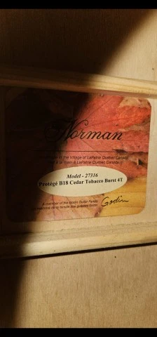 Norman Protégé  D-18 Cedar Tobacco burst