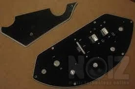 Ζητουνται μαγνητες τυπου les paul record