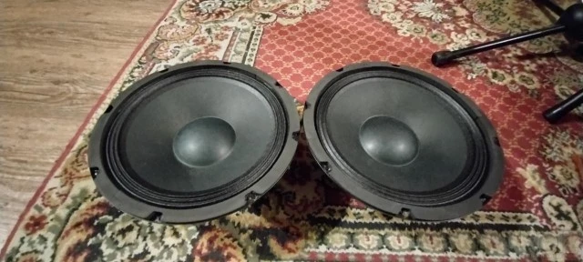 Woofer 10