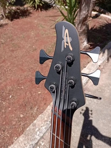 Dingwall D-roc Standard 5χορδο multiscal