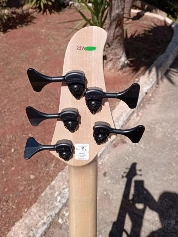 Dingwall D-roc Standard 5χορδο multiscal