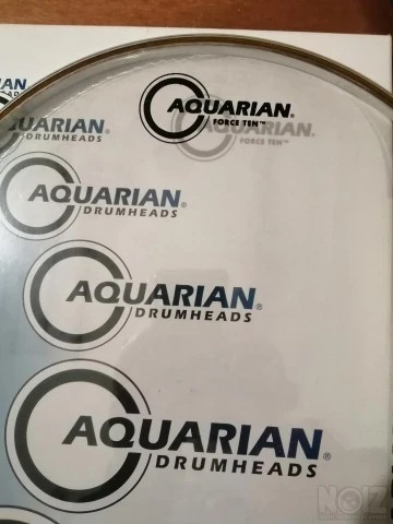 CCSN10 Classic Clear Snare Bottom 10