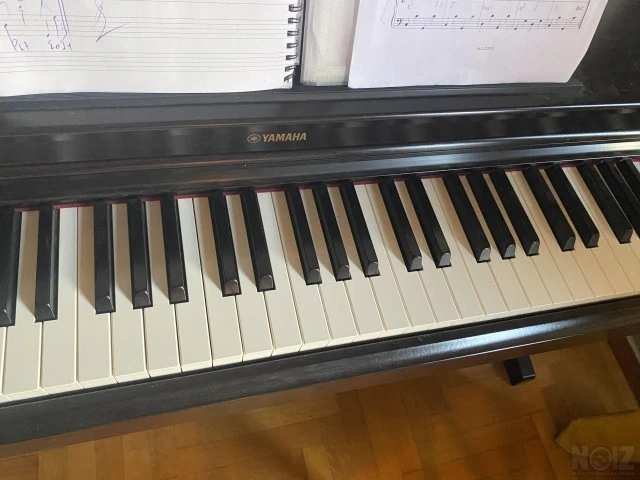 Yamaha Arius YPD 163