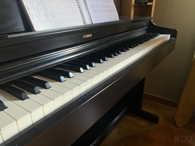Yamaha Arius YPD 163