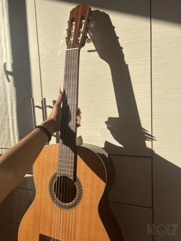 Κιθάρα Alhambra 1C Hybrid Terra