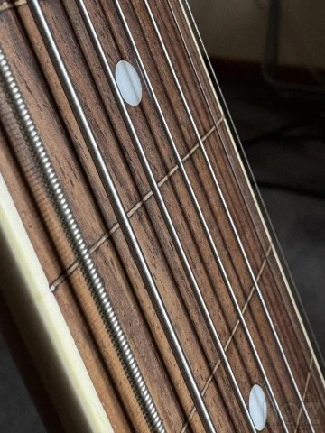 Ibanez 7 str. fretless