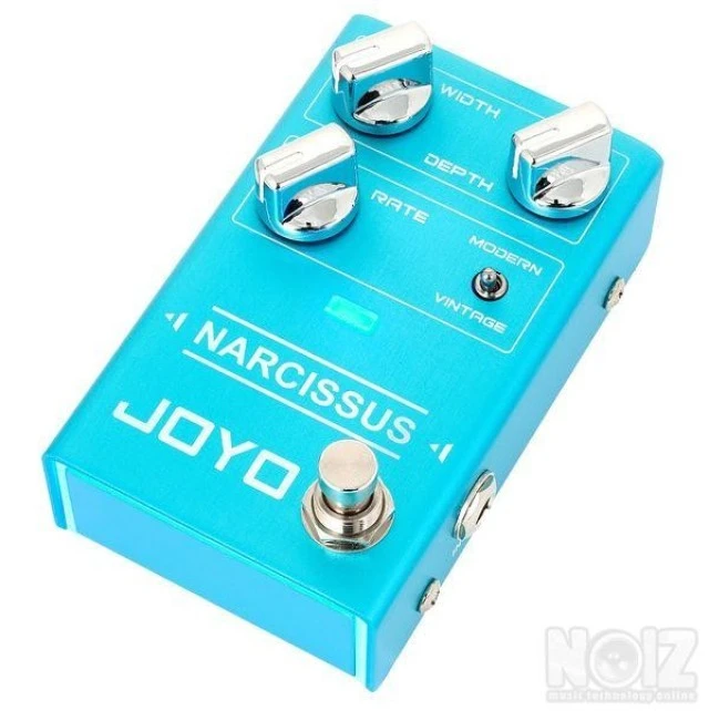 Joyo Narcissus Chorus
