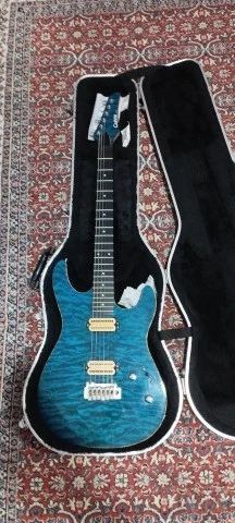 Carvin costum