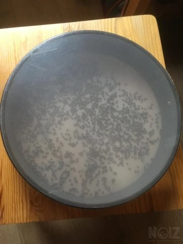 Ocean drum