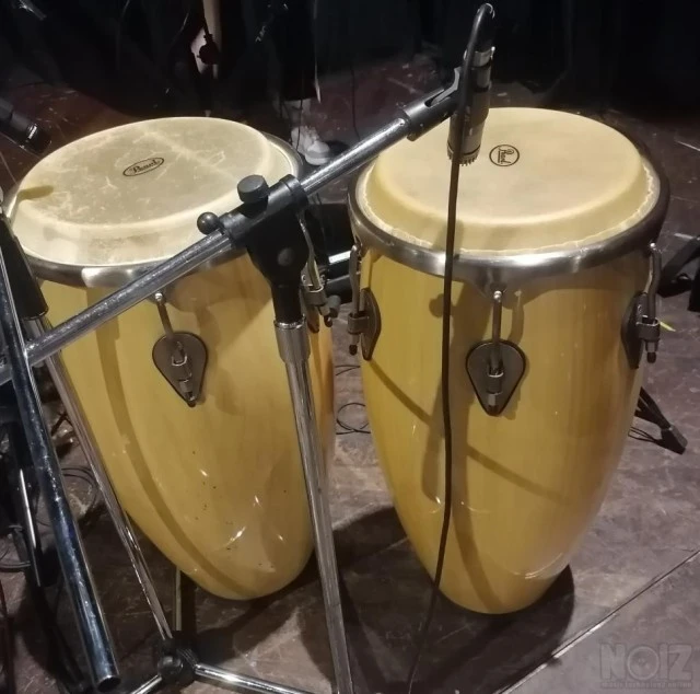Congas Pearl Élite wood