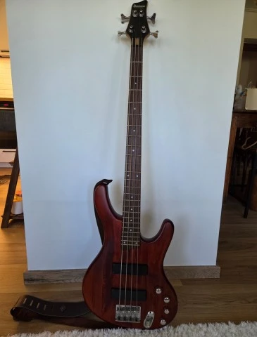 Ibanez