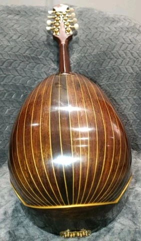 Μαντολίνο Ishikawa - B type, με θήκη 