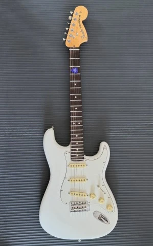 Fender Stratocaster American Performer ( made in USA)