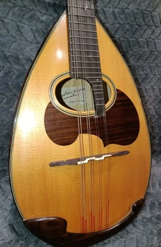 Μαντολίνο Suzuki M-100