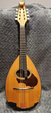 Μαντολίνο Suzuki M-100
