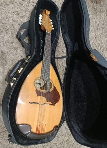 Μαντολίνο Suzuki M-100