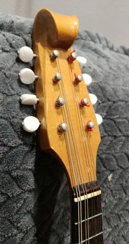 Μαντολίνο Suzuki M-100
