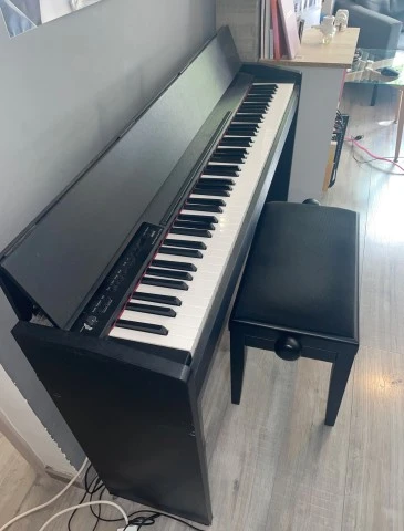 Roland F-110 