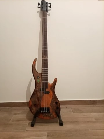 Xtrm_basses* 343