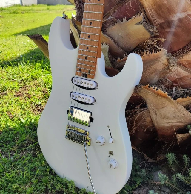 Soloking MS-1 Custom 24 HSS