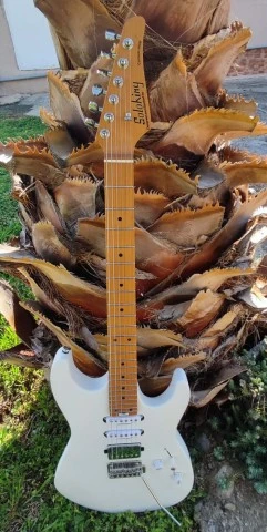 Soloking MS-1 Custom 24 HSS