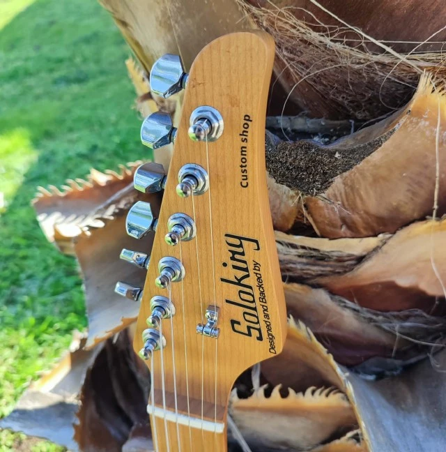 Soloking MS-1 Custom 24 HSS