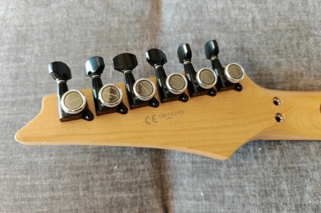 Ibanez JEM/Voyager w/RG570 japan neck