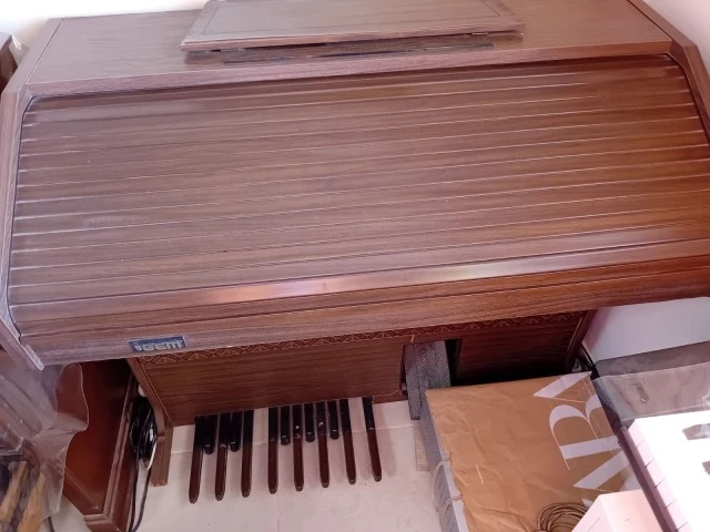 Organ Gem Leslie 