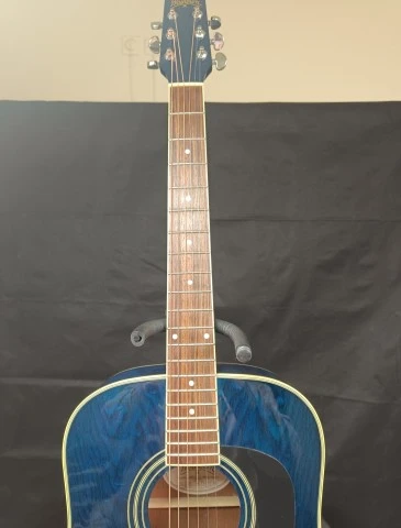 Washburn D-11 TBL Acoustic Guitar
