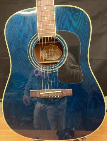 Washburn D-11 TBL Acoustic Guitar