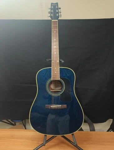 Washburn D-11 TBL Acoustic Guitar