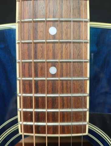 Washburn D-11 TBL Acoustic Guitar
