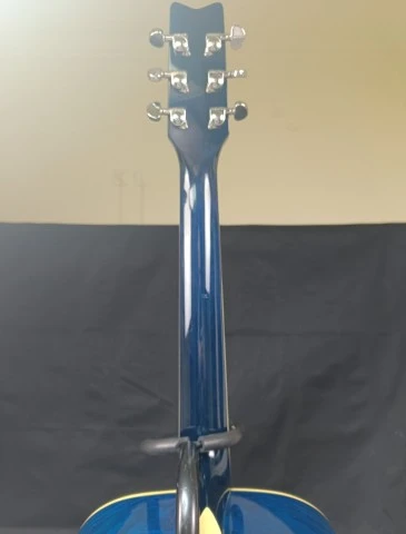 Washburn D-11 TBL Acoustic Guitar