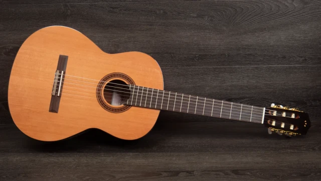 Cordoba C5 με θήκη