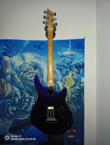 Washburn BT4