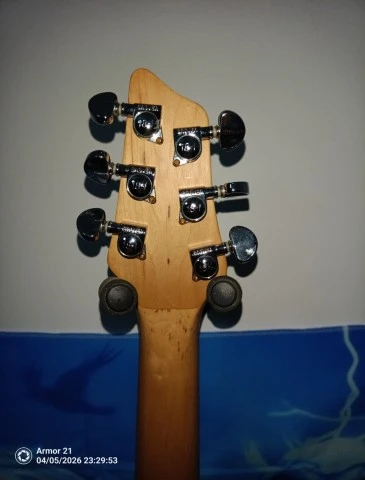 Washburn BT4