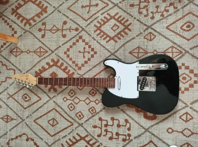 VGS Telecaster Sky cruiser