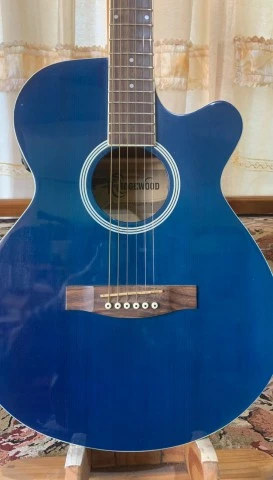 Ridgewood SW205 Trans Blue