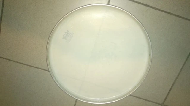 Remo Ambassador Batter 13"