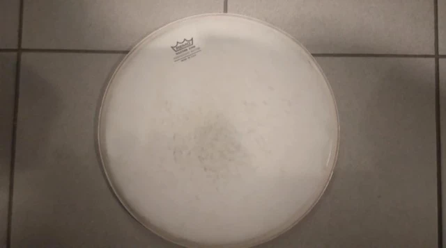 Remo Ambassador Batter 13"