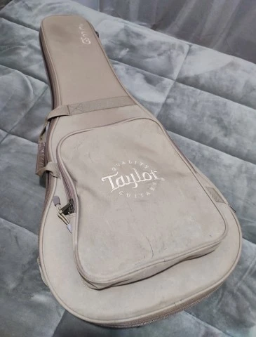 Taylor GS Mini Mahogany