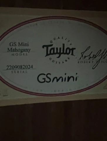 Taylor GS Mini Mahogany