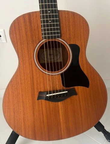 Taylor GS Mini Mahogany