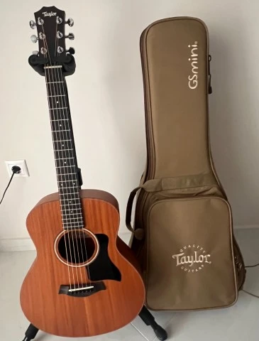 Taylor gs mini mahogany