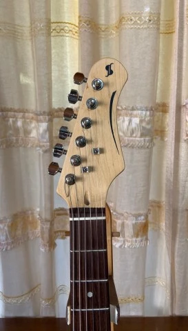 Electric Guitar Type Strato